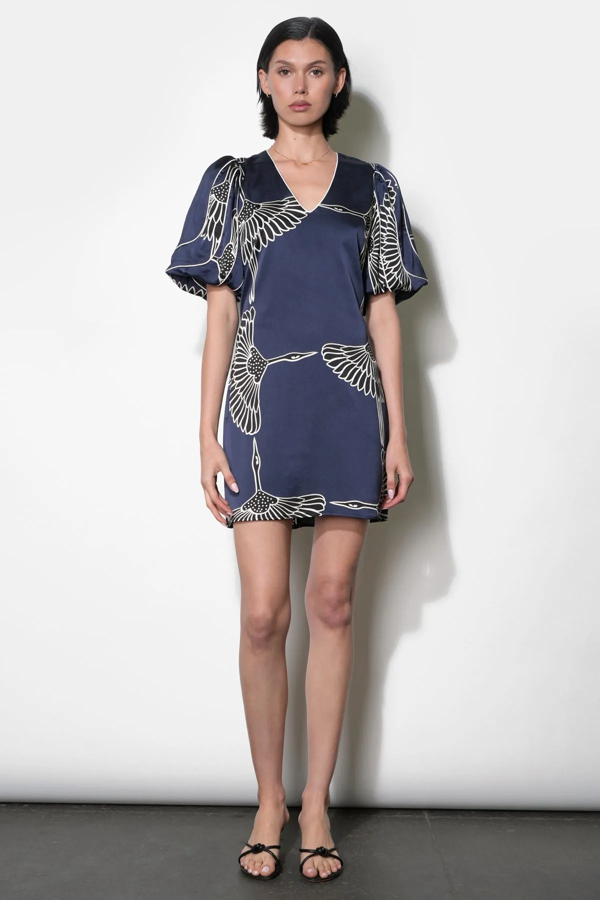 Sylvie V-Neck Bubble Sleeve Mini Dress sold by Adelyn Rae product image thumbnail 5