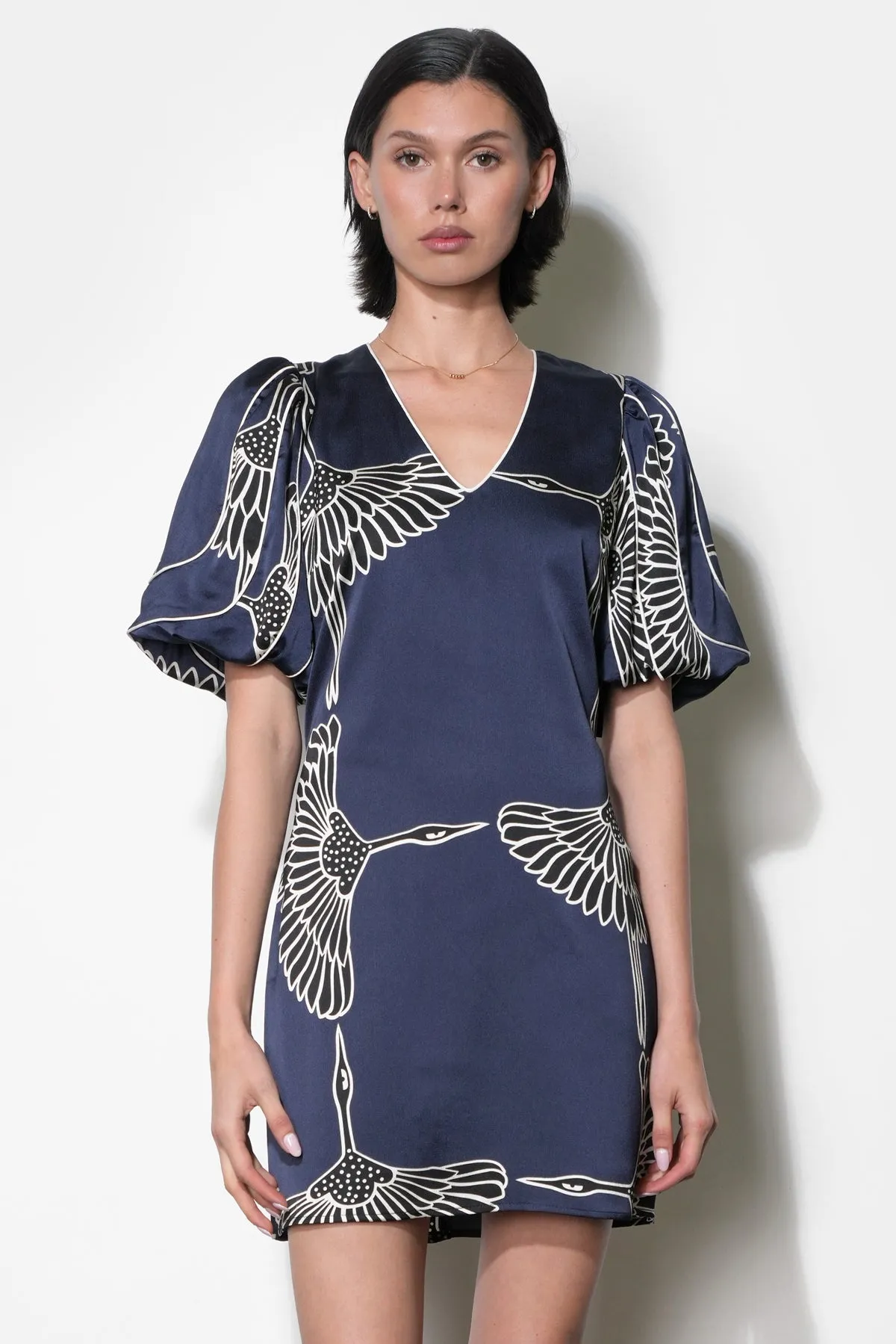 Sylvie V-Neck Bubble Sleeve Mini Dress sold by Adelyn Rae product image thumbnail 3