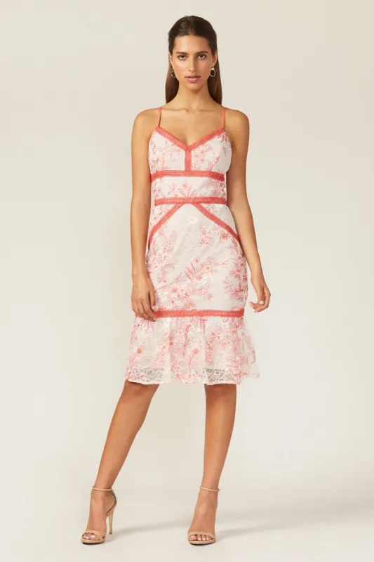 Miran lace Fit & Flare - FINAL SALE sold by Adelyn Rae