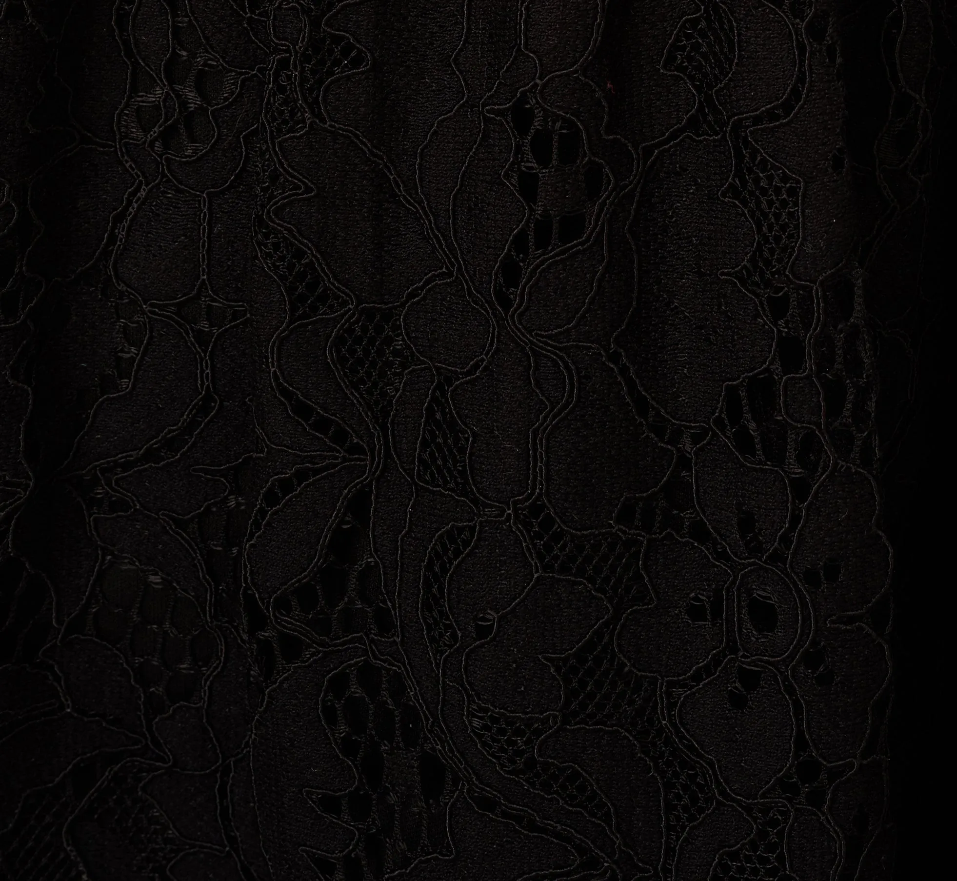 Sleeveless Collared Lace Fit And Flare Dress In Black sold by Adrianna Papell product image thumbnail 3