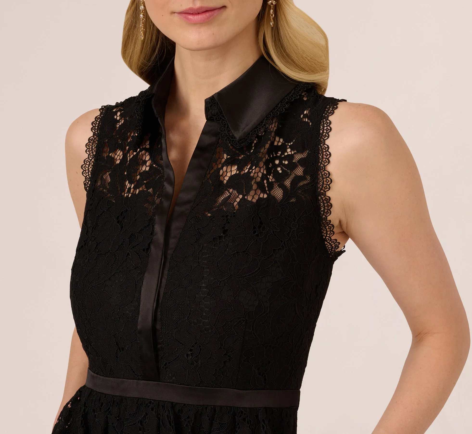 Sleeveless Collared Lace Fit And Flare Dress In Black sold by Adrianna Papell product image thumbnail 5