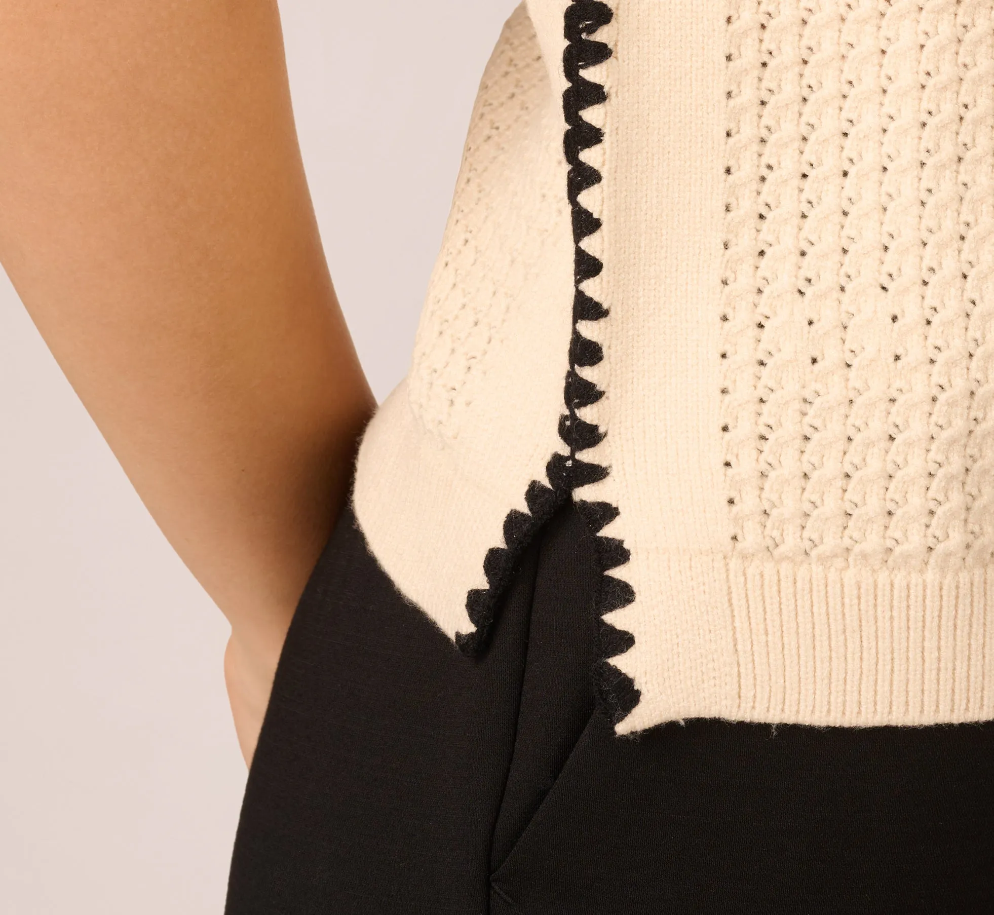 Sleeveless Open Knit Whipstitch Sweater Top In Cream Black sold by Adrianna Papell product image thumbnail 4