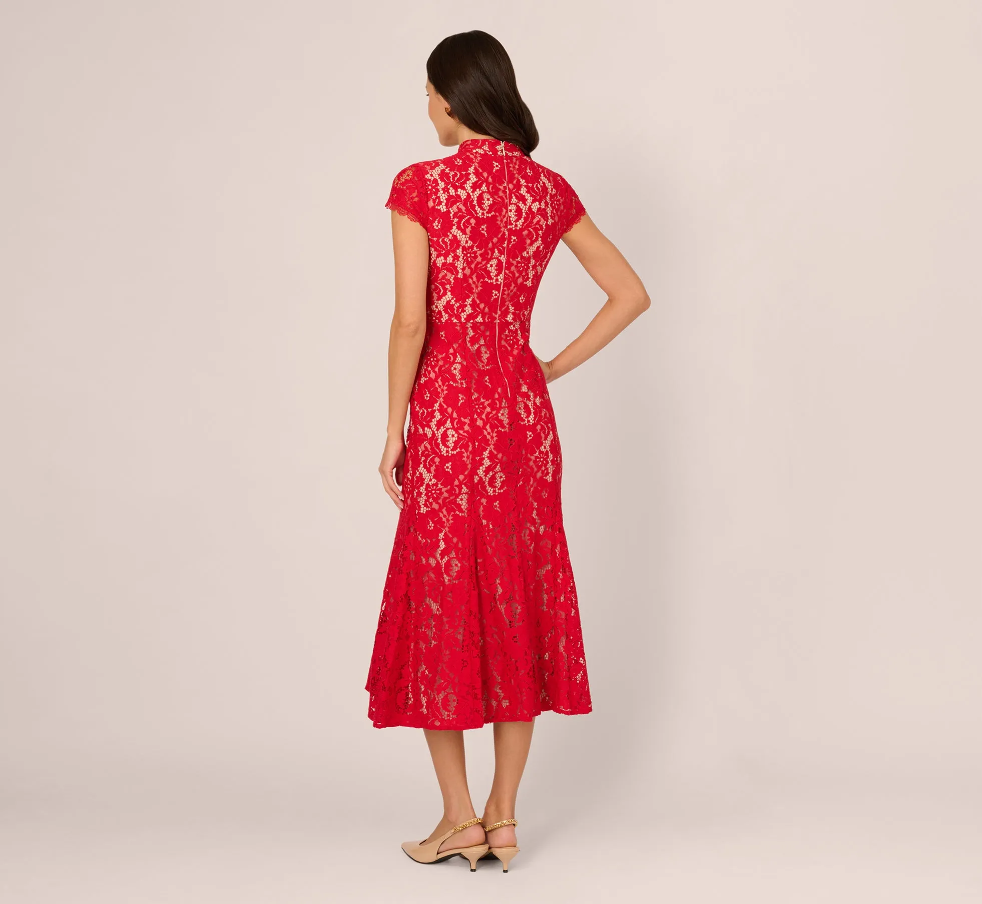 Cap Sleeve Lace Midi Dress In Red Nude sold by Adrianna Papell product image thumbnail 5
