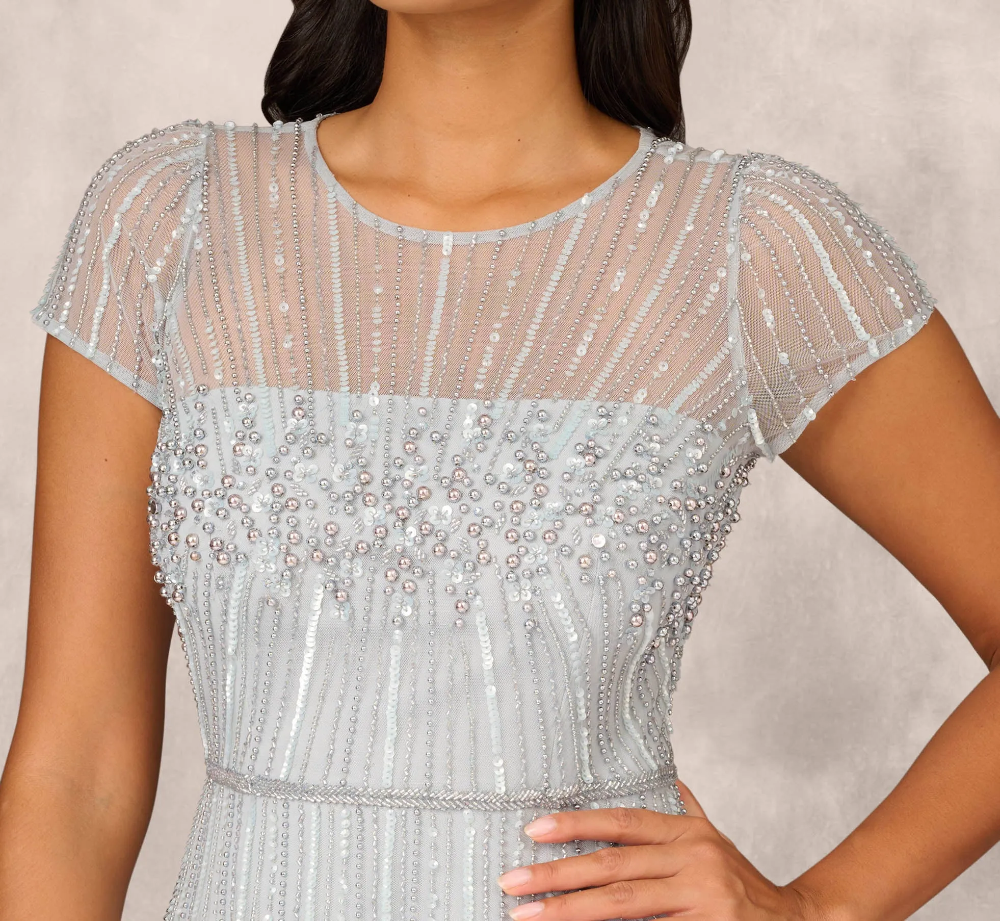 Beaded Short Sleeve Midi Dress With Sheer Details In Snow Globe sold by Adrianna Papell product image thumbnail 3