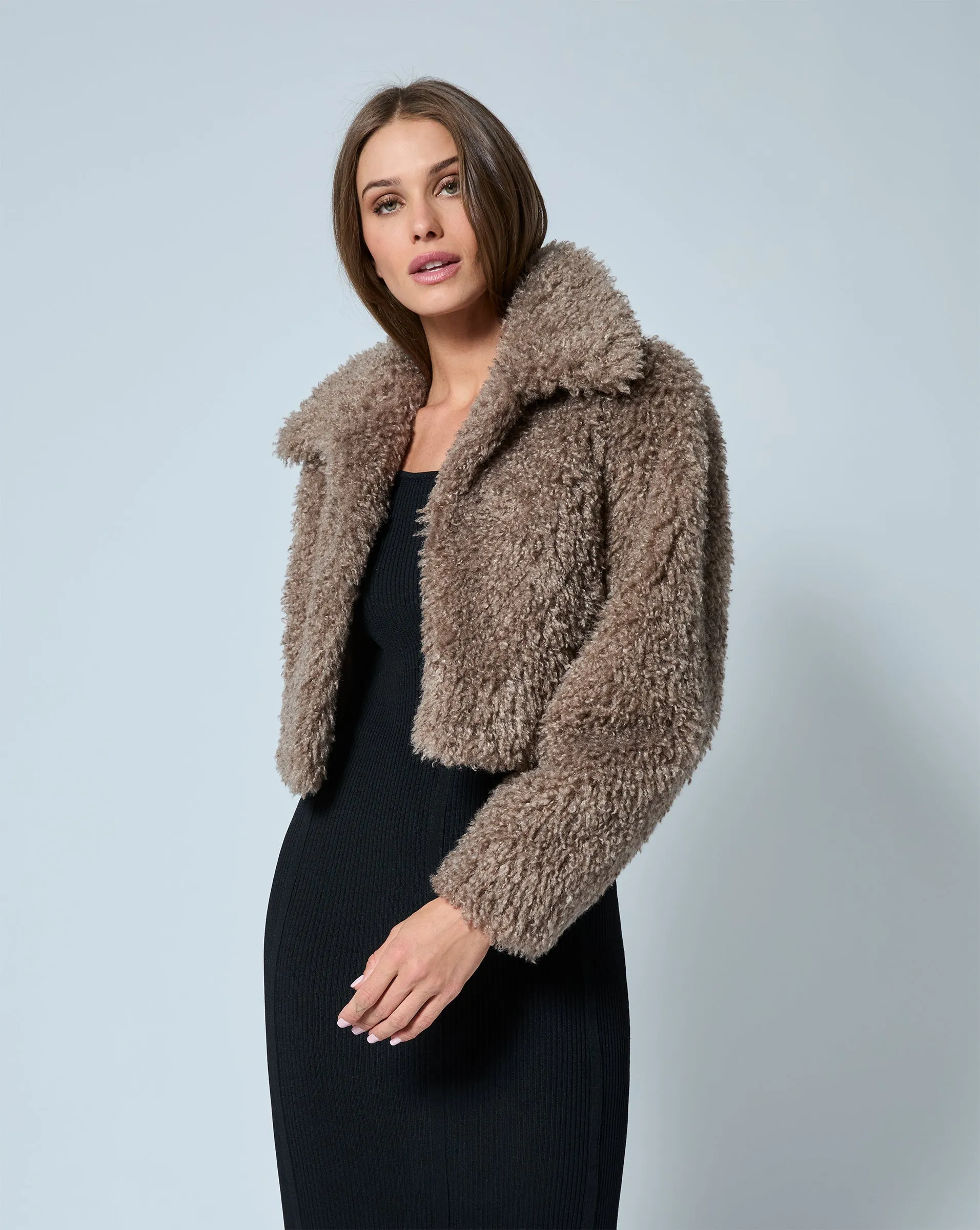 Teddy Faux Shearling Bomber Jacket sold by Adrienne Landau product image thumbnail 3