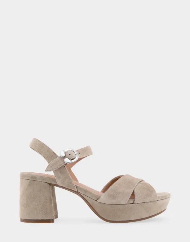 Cosmos sold by AEROSOLES