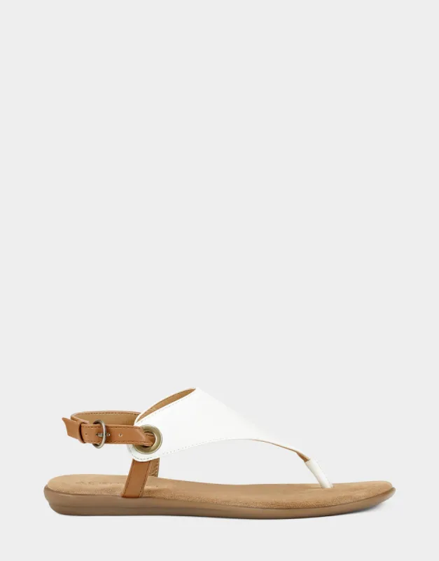 In Conchlusion sold by AEROSOLES