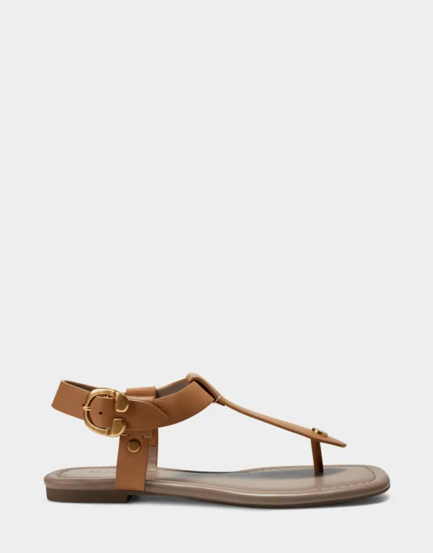 Carmina sold by AEROSOLES