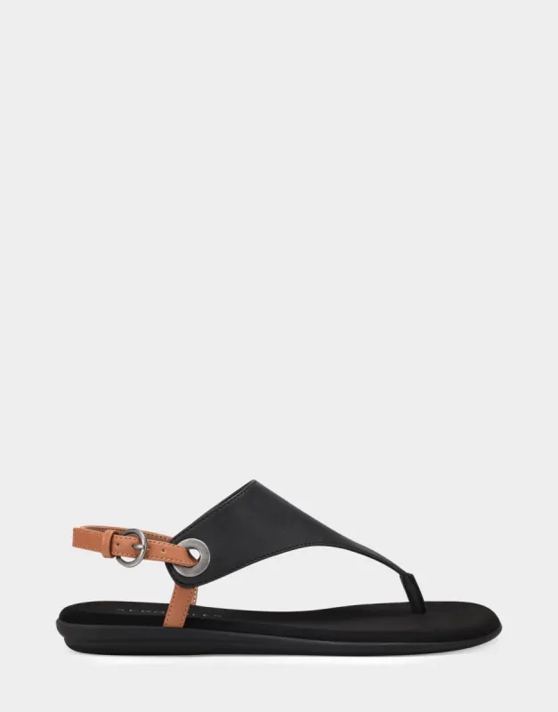 In Conchlusion sold by AEROSOLES