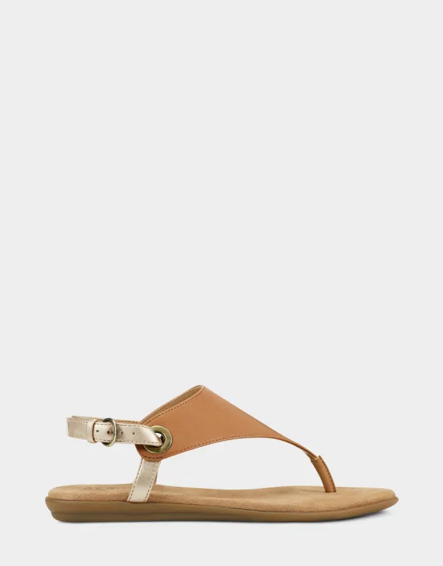 In Conchlusion sold by AEROSOLES