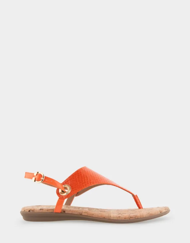 Conclusion sold by AEROSOLES