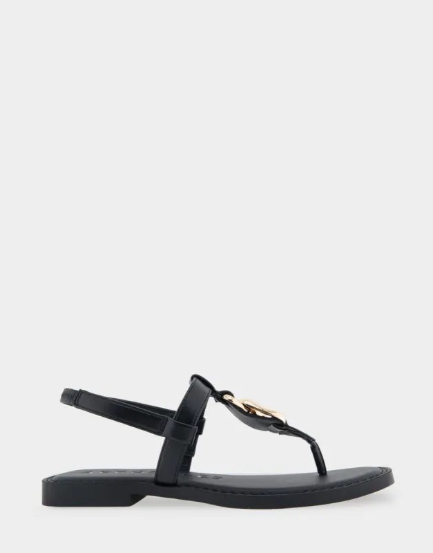 Carmine sold by AEROSOLES