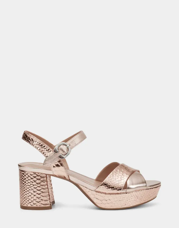 Cosmos *FINAL SALE* sold by AEROSOLES