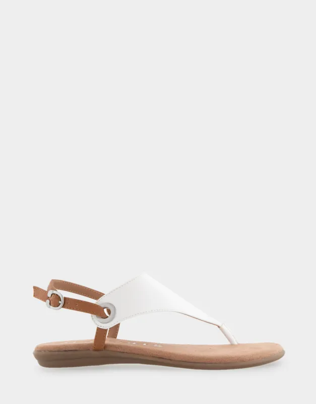 Conclusion sold by AEROSOLES