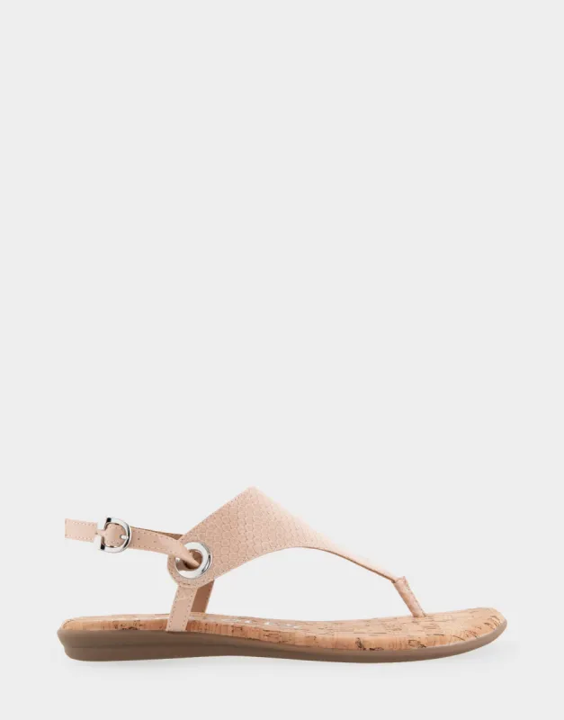 Conclusion sold by AEROSOLES