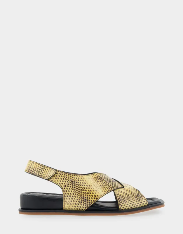 Bron sold by AEROSOLES