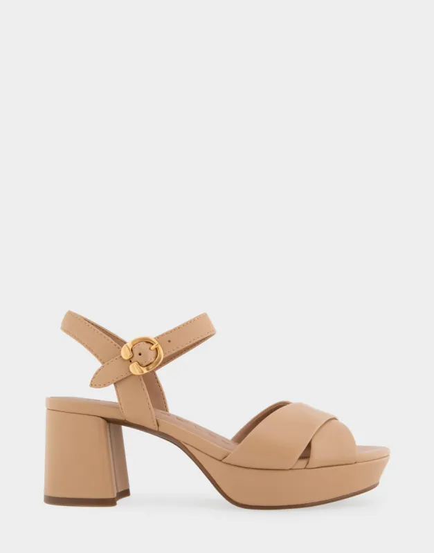 Cosmos sold by AEROSOLES