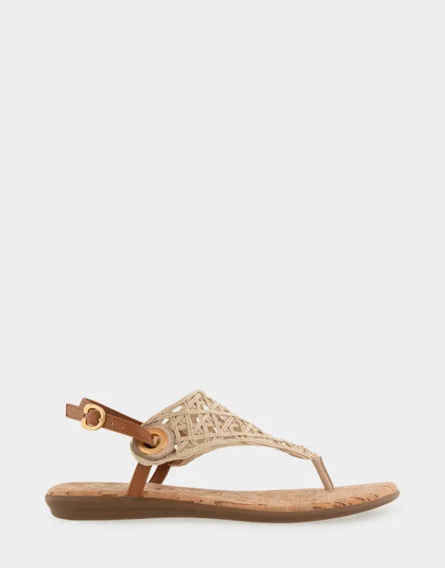 Conclusion sold by AEROSOLES