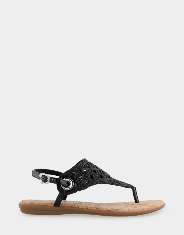 Conclusion sold by AEROSOLES