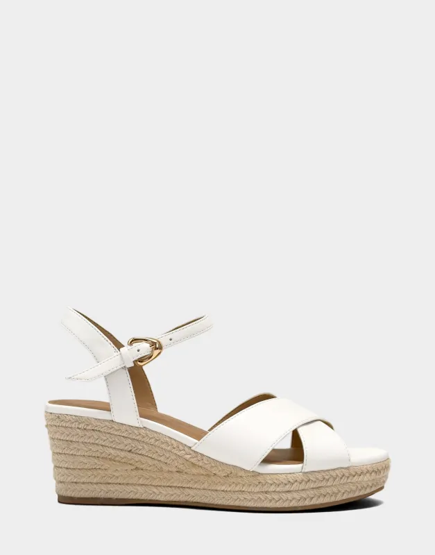 Casarina sold by AEROSOLES