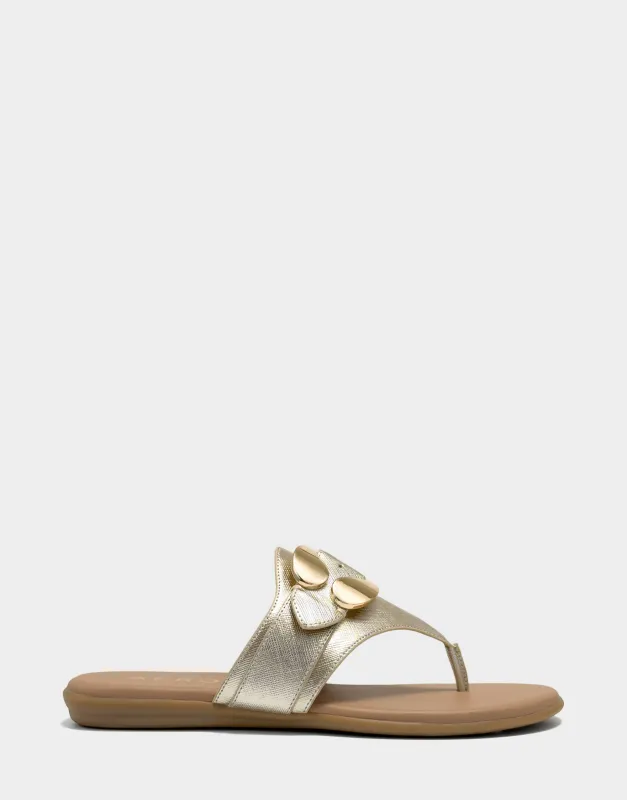 Glam sold by AEROSOLES