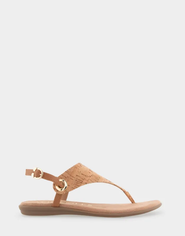 Conclusion sold by AEROSOLES