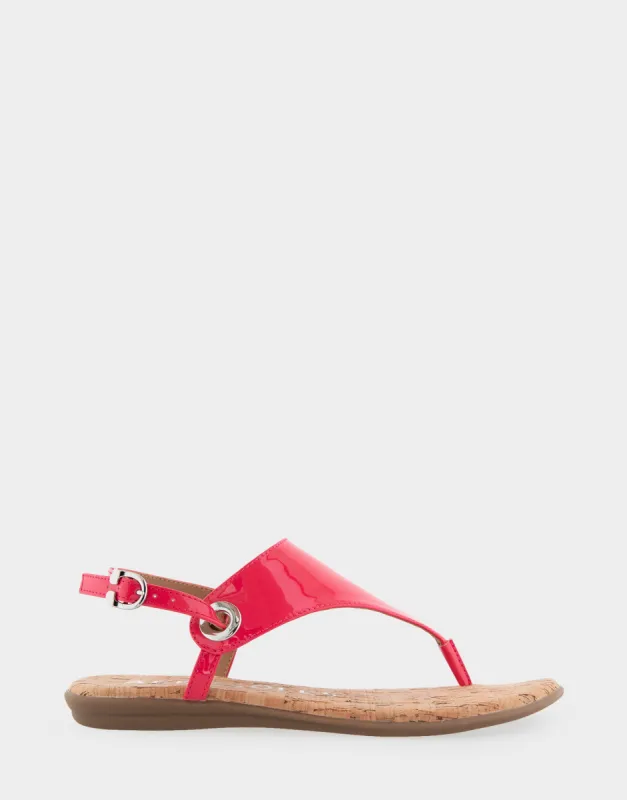 Conclusion sold by AEROSOLES