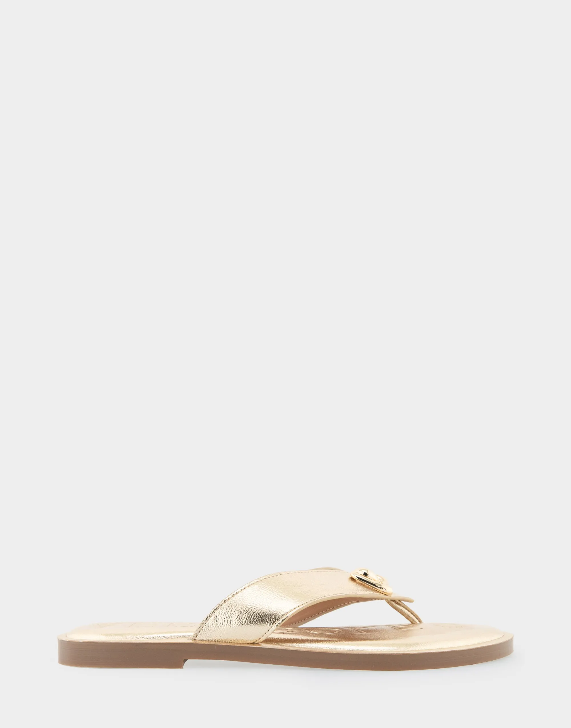 Galen sold by AEROSOLES