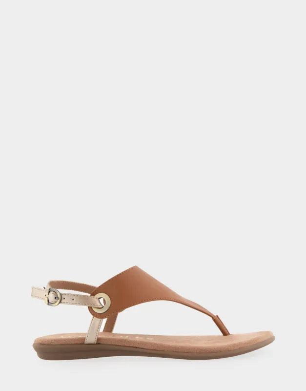 Conclusion sold by AEROSOLES