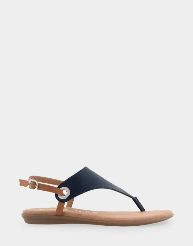 Conclusion sold by AEROSOLES
