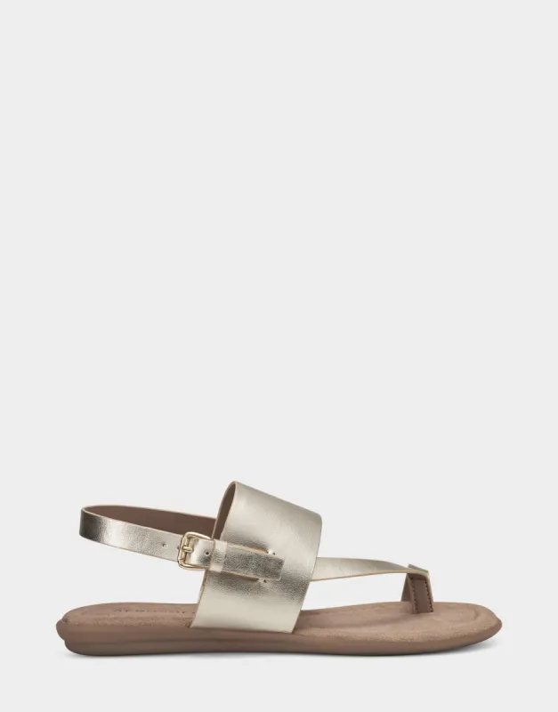 Awa sold by AEROSOLES