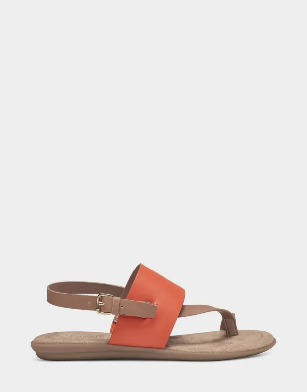 Awa sold by AEROSOLES