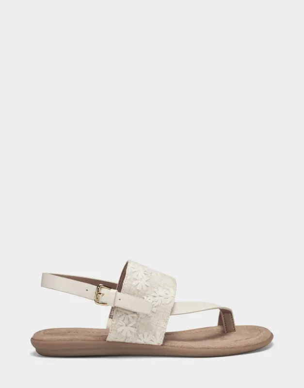 Awa sold by AEROSOLES