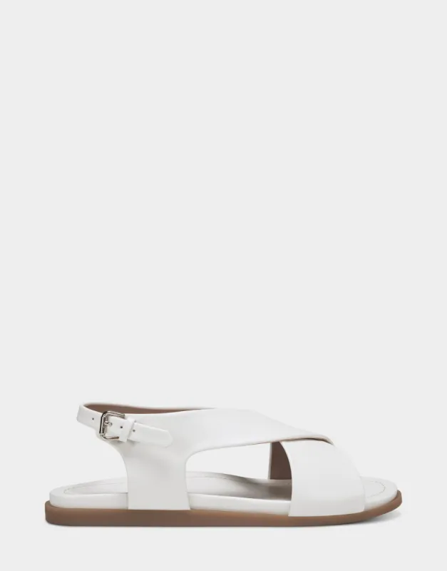 Cele sold by AEROSOLES