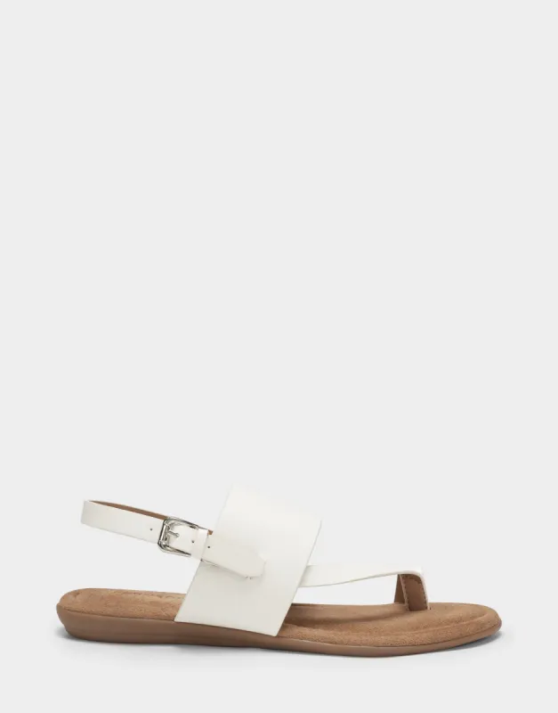 Avea sold by AEROSOLES