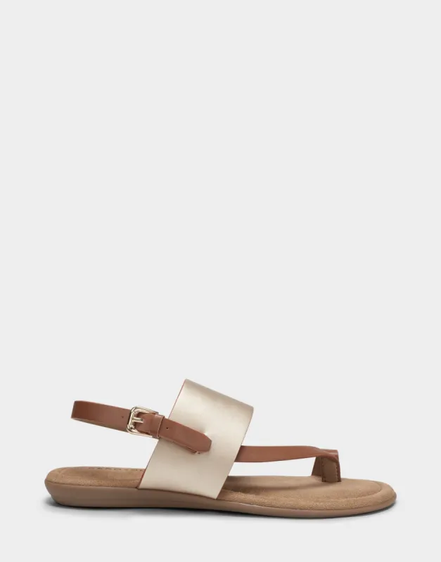 Avea sold by AEROSOLES