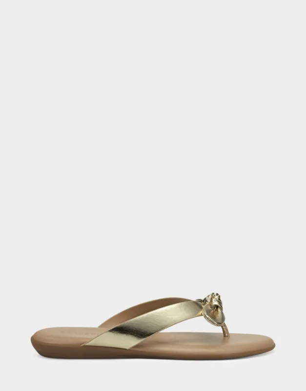 Cara sold by AEROSOLES