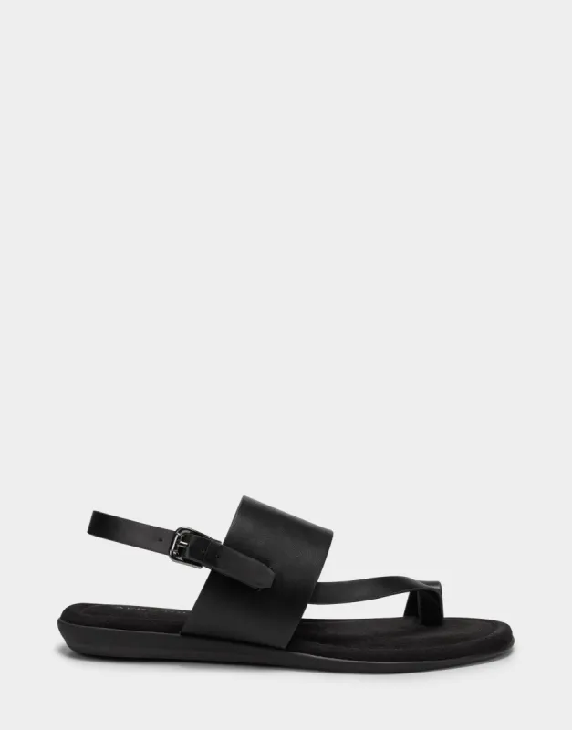 Avea sold by AEROSOLES