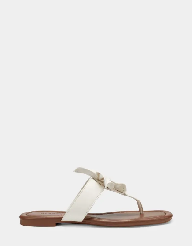 Calla sold by AEROSOLES