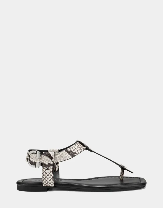 Carmina sold by AEROSOLES