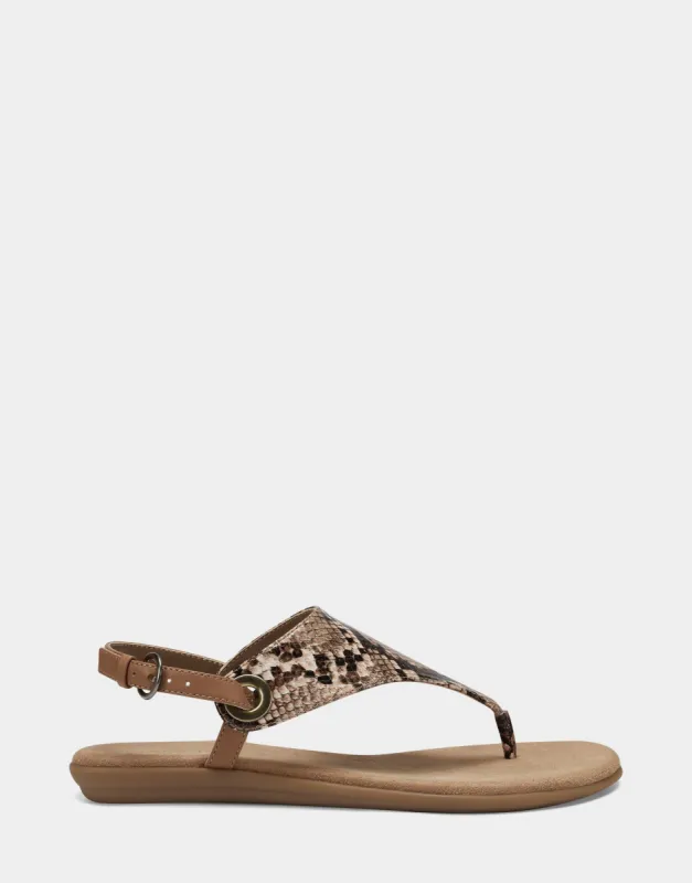 In Conchlusion sold by AEROSOLES