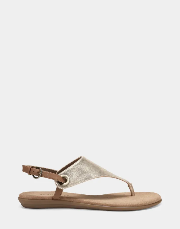 In Conchlusion sold by AEROSOLES