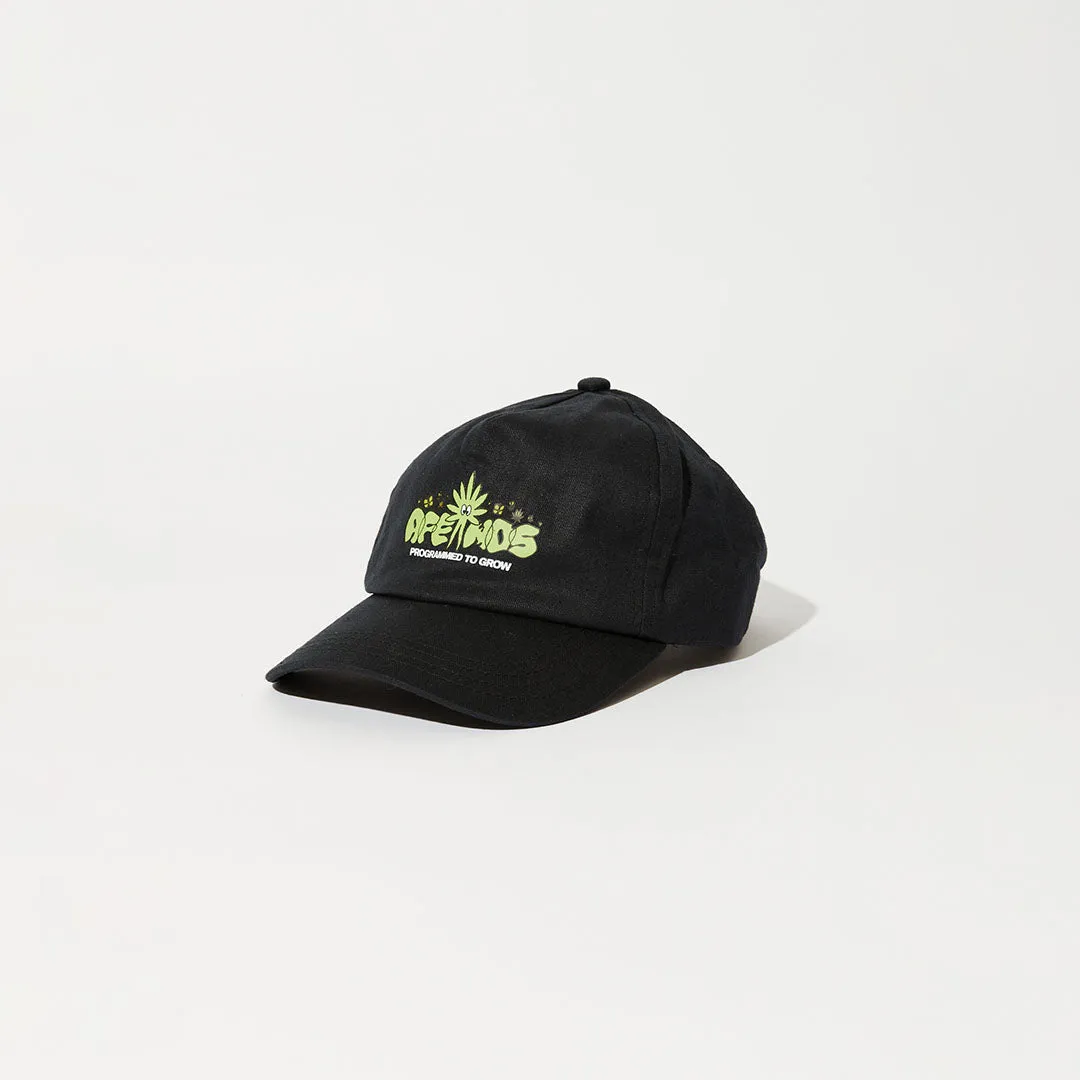 AFENDS Unisex Vibrations - Cap - Black sold by Afends product image thumbnail 5