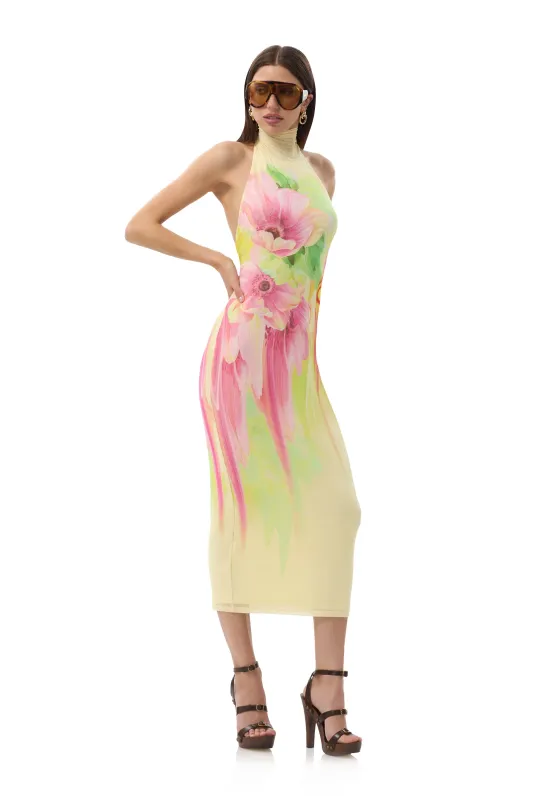Olimpia Dress - Butter Peony sold by AFRM