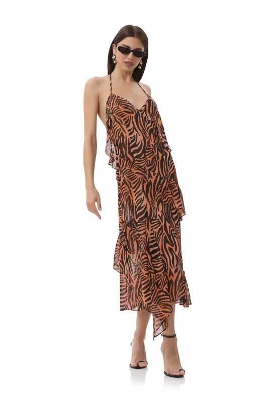 Ware Dress - Ombre Zebra made by AFRM