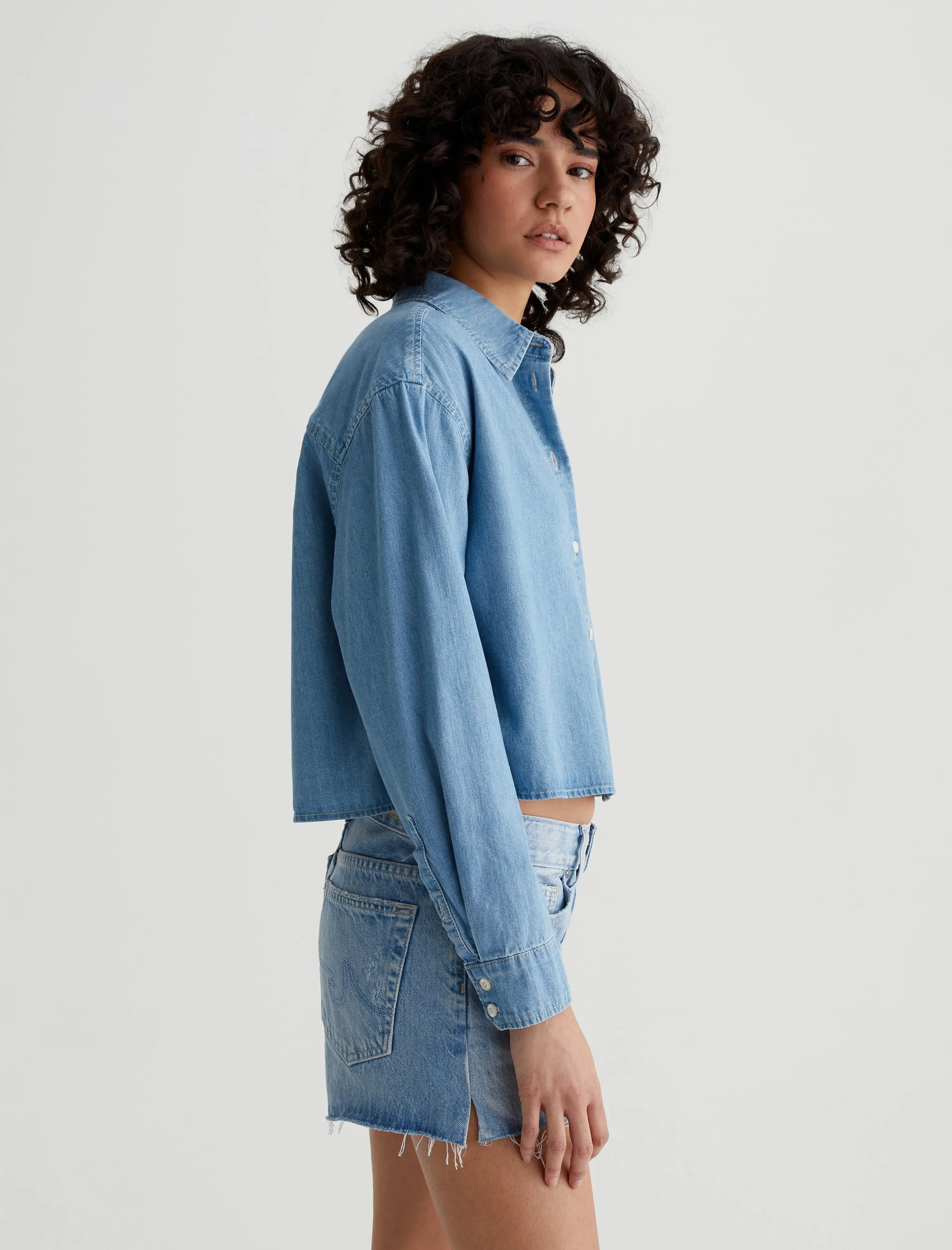 Aubrey Shirt sold by Adriano Goldschmied product image thumbnail 5