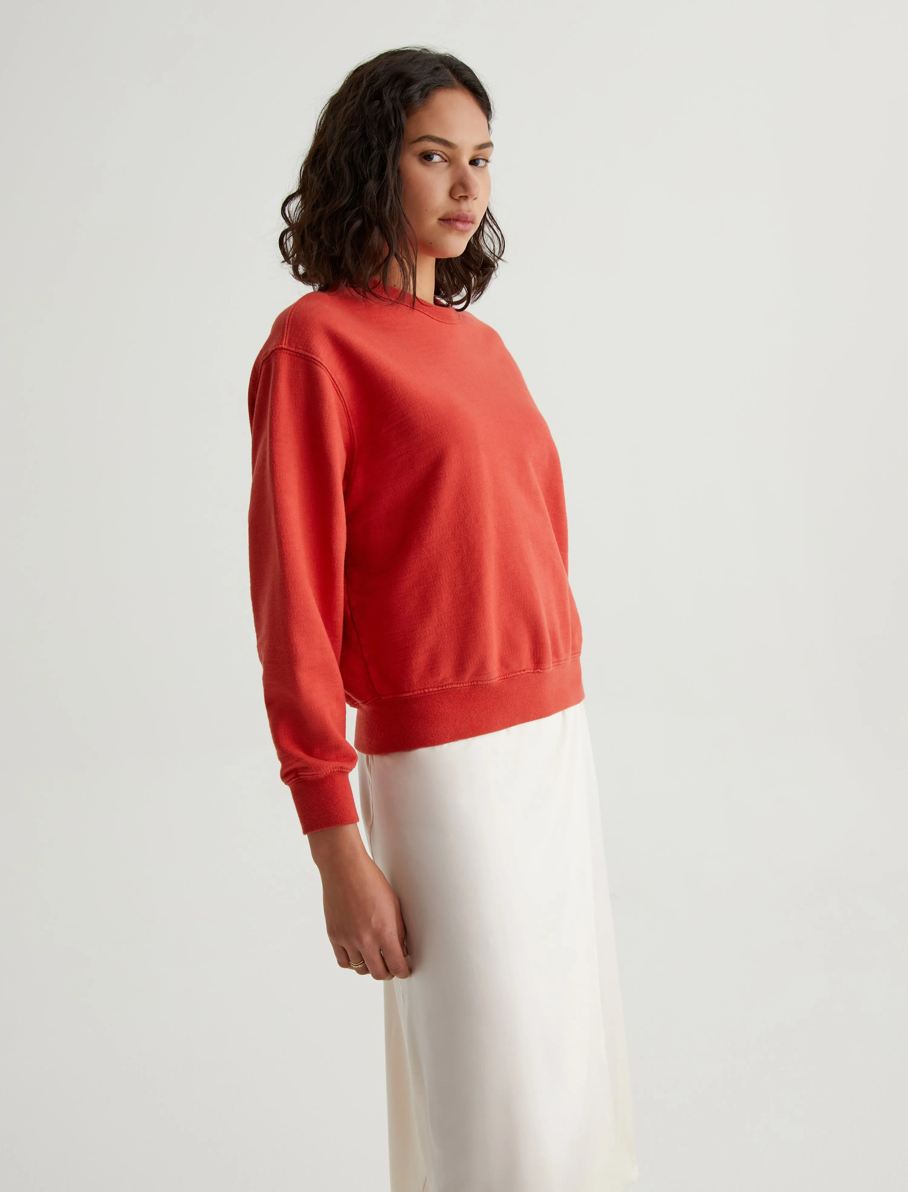 Nova Crew sold by Adriano Goldschmied product image thumbnail 5