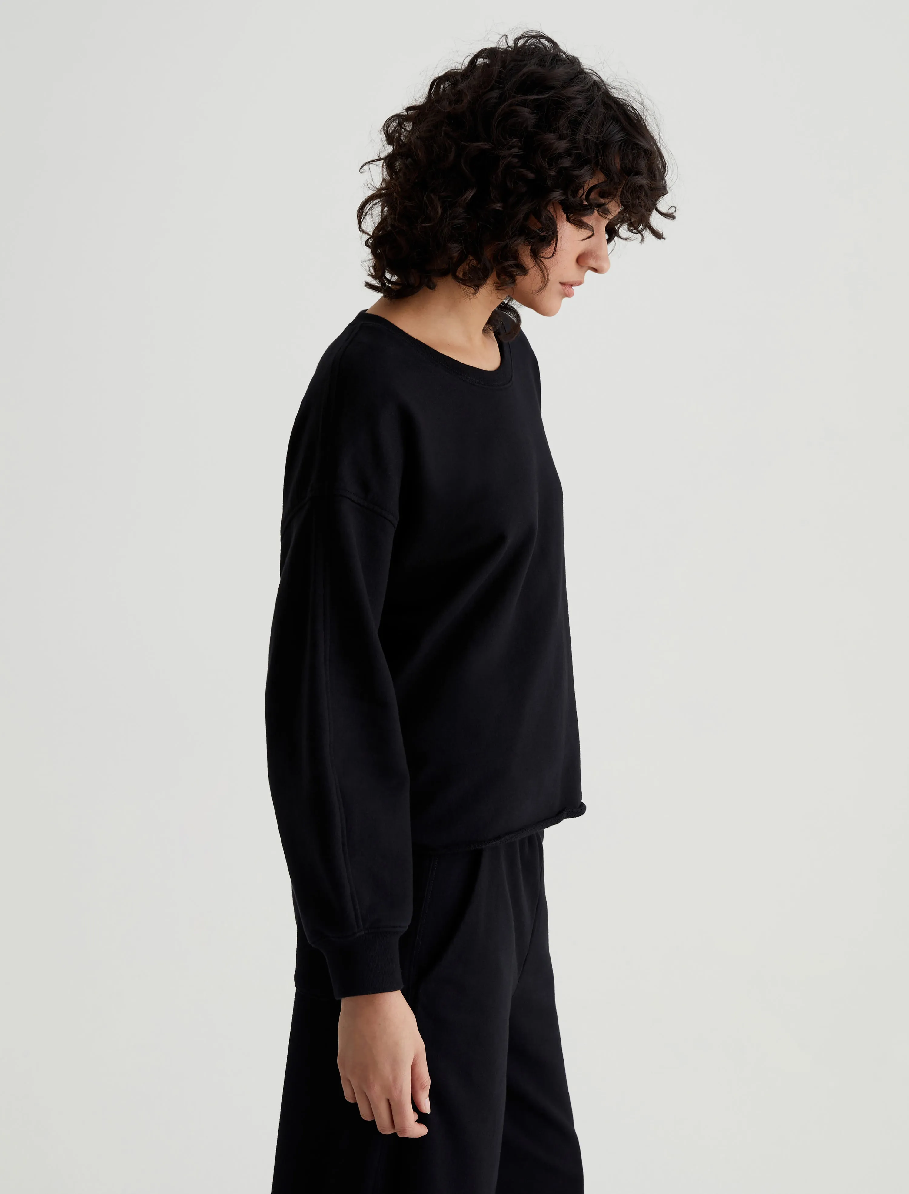 Willow Sweatshirt sold by Adriano Goldschmied product image thumbnail 2