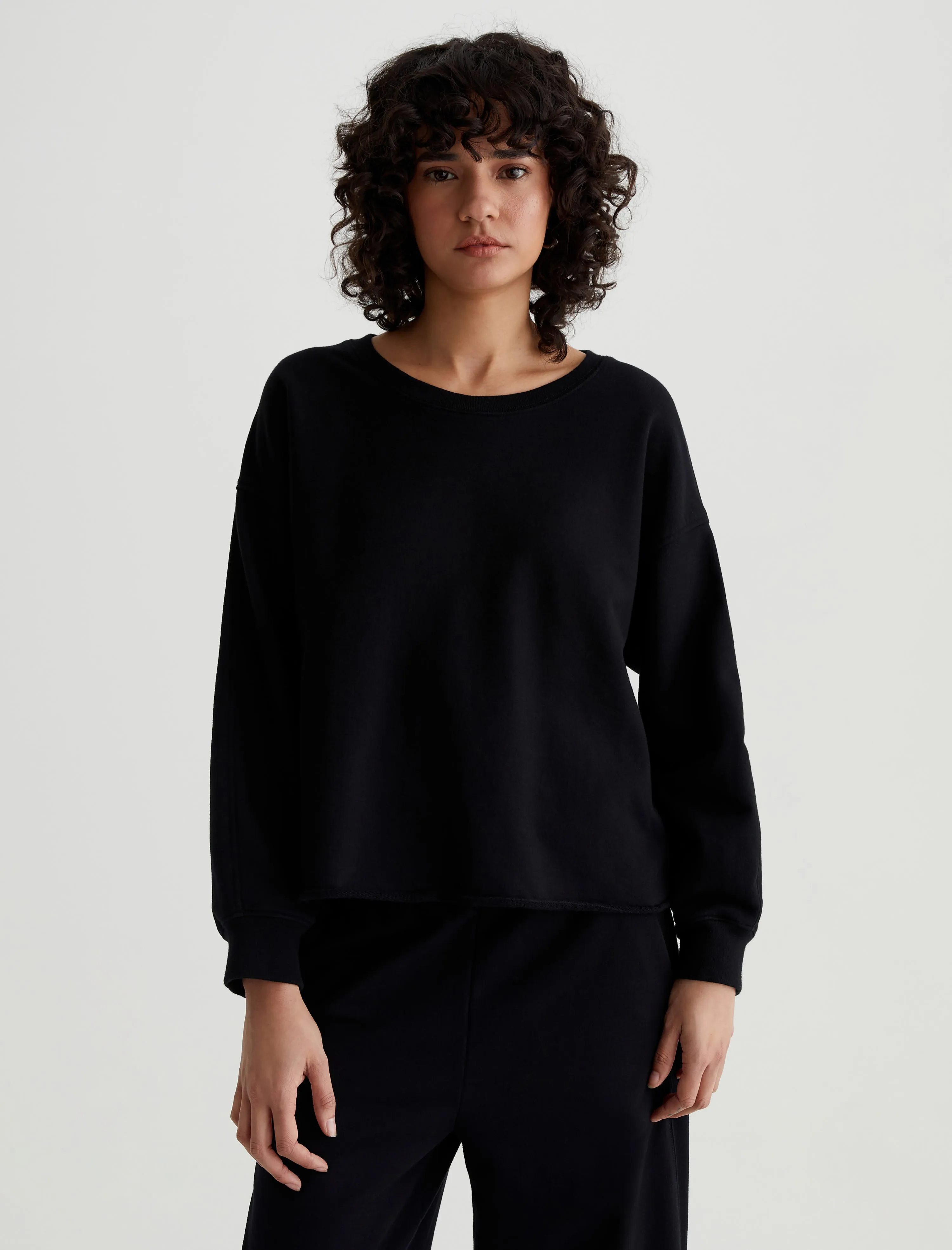 Willow Sweatshirt sold by Adriano Goldschmied