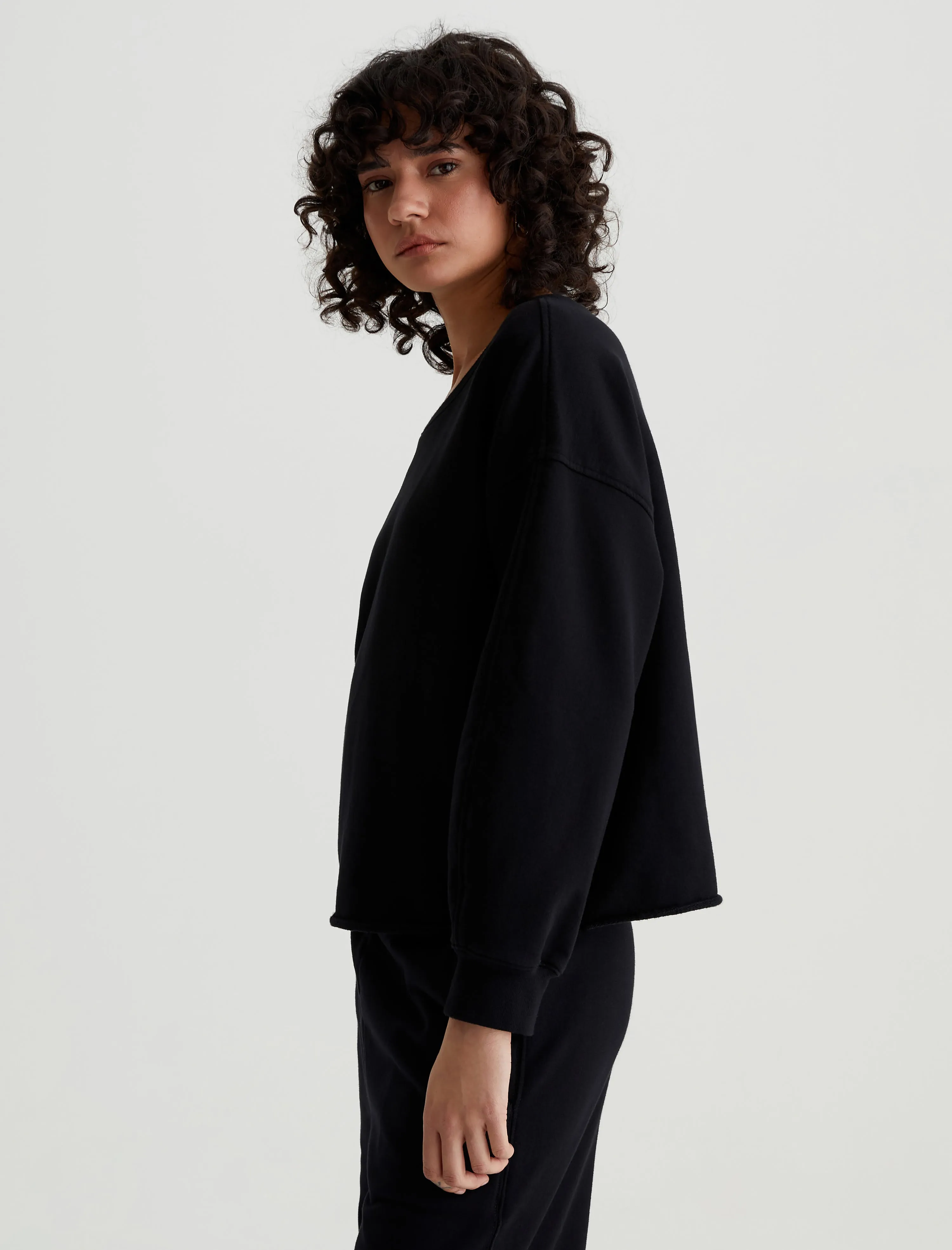 Willow Sweatshirt sold by Adriano Goldschmied product image thumbnail 3